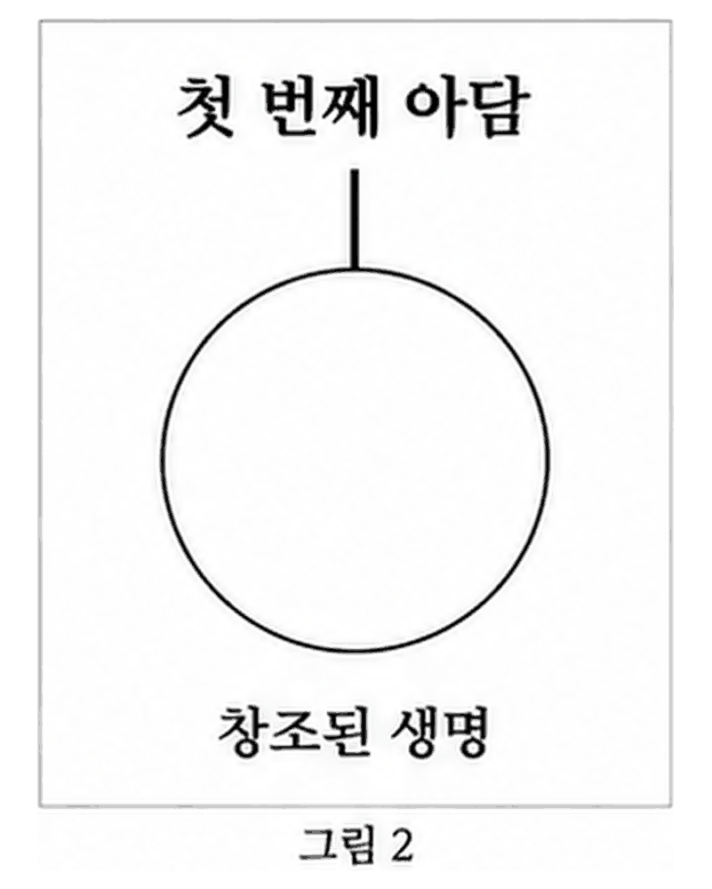 도표 2 — 첫째 아담 · 창조된 생명