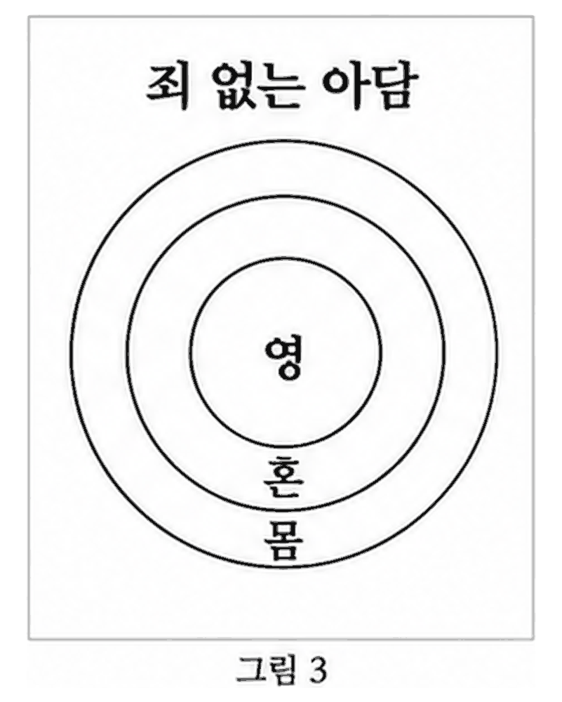 도표 3 — 죄 없는 아담 · 영과 혼과 몸