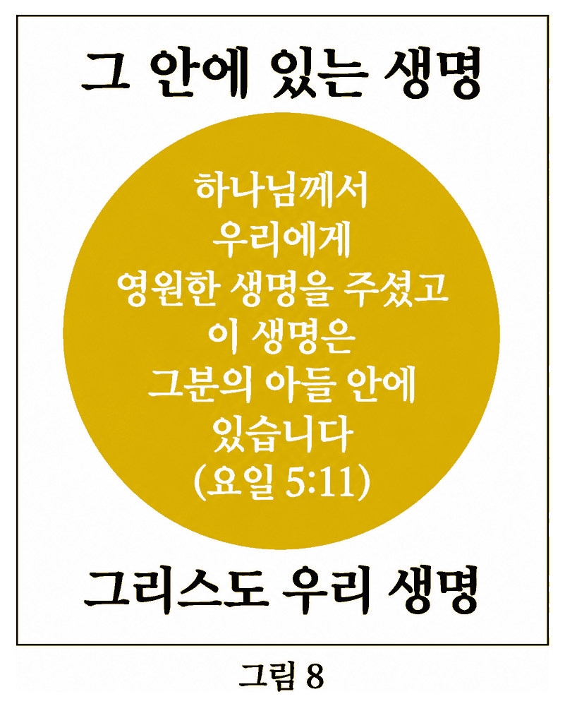 도표 8 — 아들 안에 있는 영원한 생명